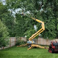 Best Hazardous Tree Removal  in Rockville, MN